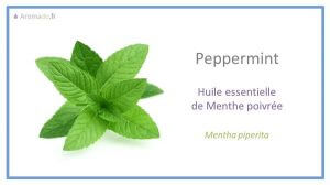 he menthe poivrée ou huile essentielle de menthe poivrée