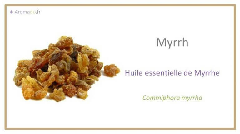 HE Myrrhe - L'huile Essentielle De Myrrhe | Vivre-aroma