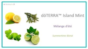 island mint est une huile essentielle de doterra, description en francais